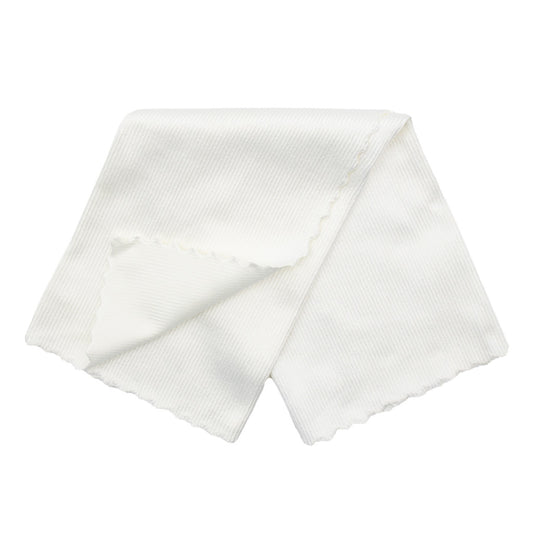 AUTOBACS GLASS CLOTH - 350x350