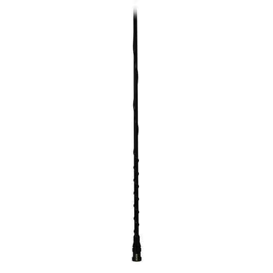 AXIS AM/FM HELICAL ANTENNA FM2A